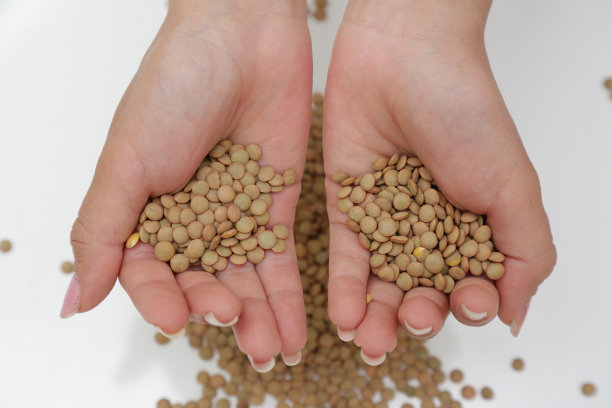 豆科小的一年生攀援植物。图片下载