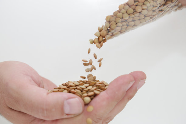 豆科小的一年生攀援植物。图片下载