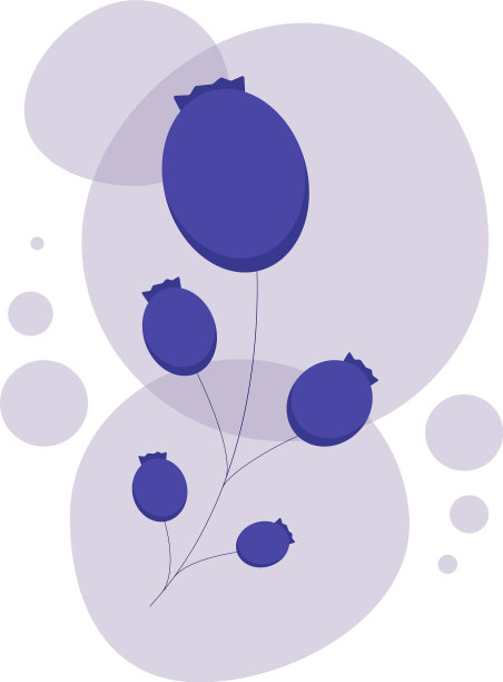 树枝上的蓝色浆果图片下载