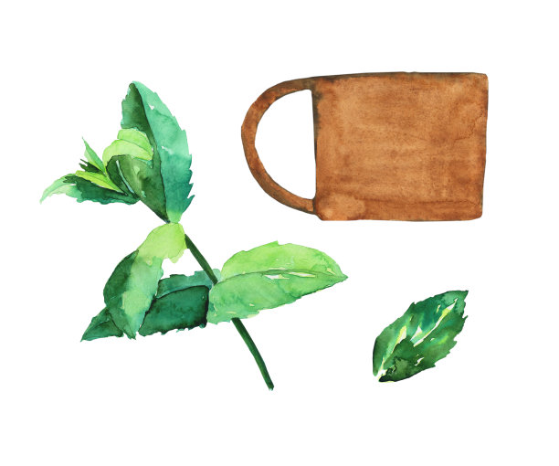薄荷茶杯和植物隔离在白色背景上。薄荷和粘土杯的水彩手绘插图。完美的卡片，印刷，封面，图案，横幅，草药设计。图片下载