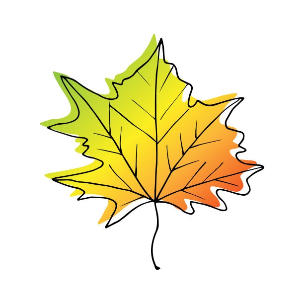 枫叶的秋天。秋天各种色调的叶子-红的，黄的，绿的，金的。图片下载