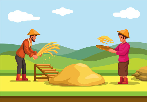 农民在稻田里收割稻谷图片下载