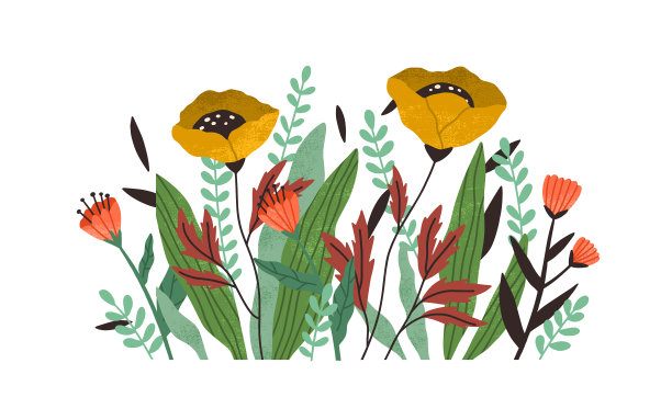 盛开的秋花，朵朵花蕾图片下载