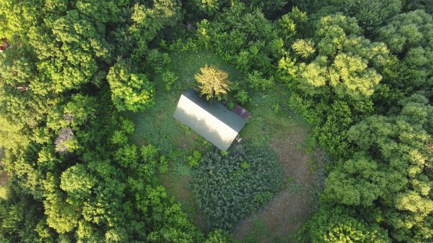 森林中的房子图片下载