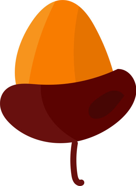 橡实橡树种天然秋果图片下载