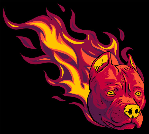 头犬斗牛与火焰图片下载
