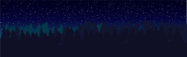 全景景观黑夜浓密的森林图片下载