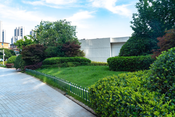 城市道路图片下载