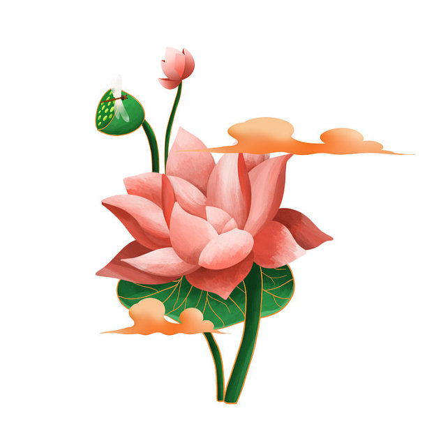 夏至粉色荷花莲藕蜻蜓图片下载