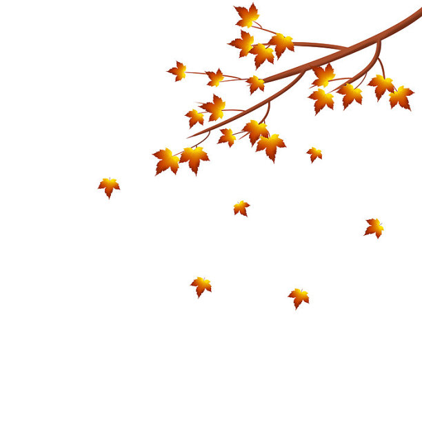 秋天手绘树叶枫叶元素素材图片