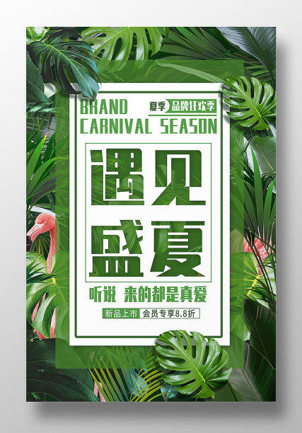 遇见盛夏图片下载