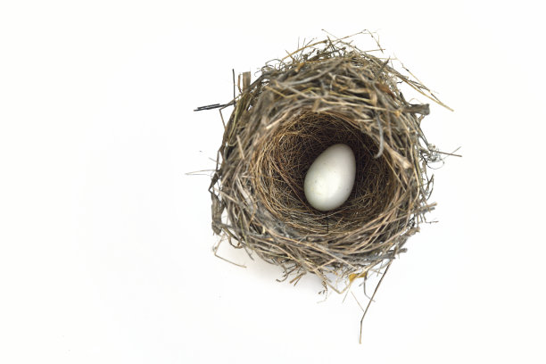 布朗鸟巢图片下载