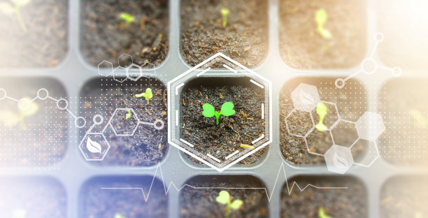 平衡利用生物质，利用生物质和化学保护自然，自然保护理念图片下载