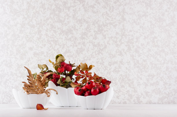 秋天的干浆果玫瑰红叶，蕨类树枝和成熟的山楂作为替代药物成分在白色木桌，复制空间。图片下载