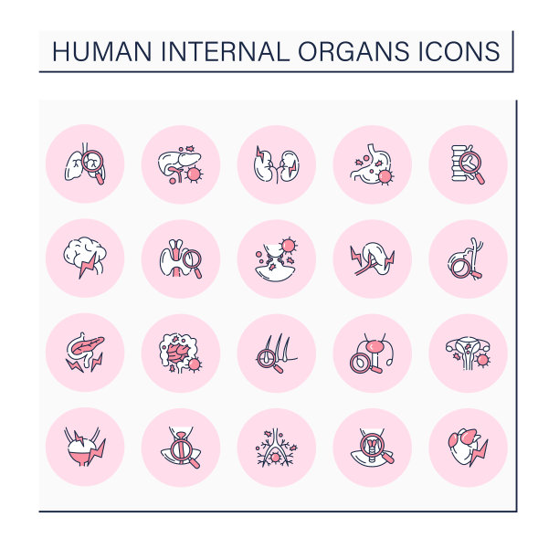 人体内部器官颜色图标设置图片下载