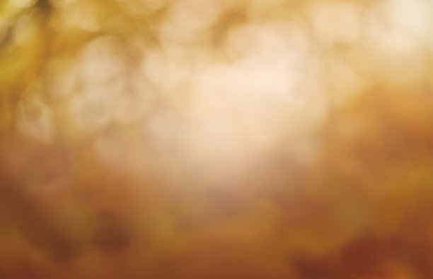 一个秋天模糊抽象的自然背景图片下载