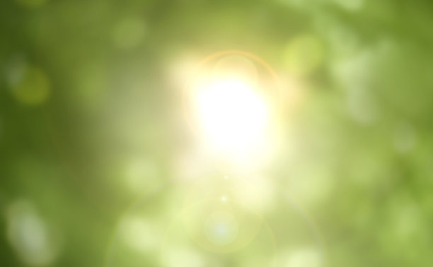 模糊的散景背景新鲜的绿色春天树叶。图片下载