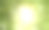 模糊的散景背景新鲜的绿色春天树叶。图片下载