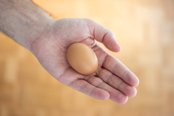 新鲜的棕色鸡蛋放在男人张开的手掌里。特写，俯视图，棕色散焦背景图片下载