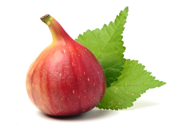 成熟的无花果图片下载