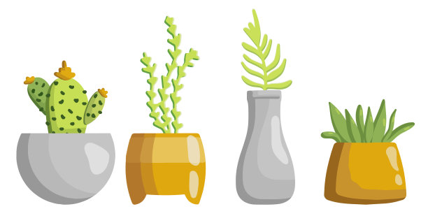 收集盆栽花盆。向量集舒适可爱的室内花孤立在白色背景。Hygge时间。家庭园艺。室内植物。家的花园。打印图片下载