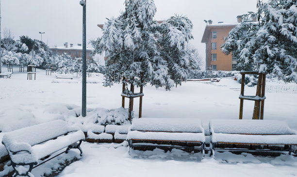 大雪过后的典型公园图片下载