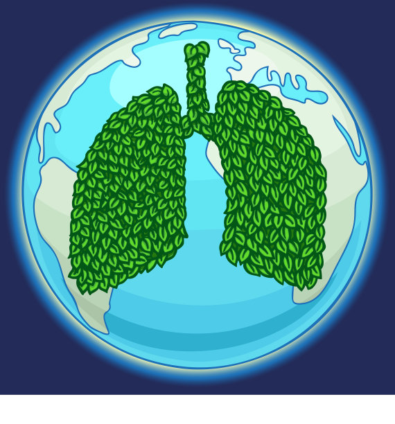 颜色肺与叶子的分支图像，矢量插图图片下载