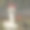 狗，拉布拉多，蛇与红角附近的老鼠3图片下载