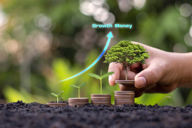 硬币上生长的树和堆叠在绿色的散景背景下的硬币的特写。商业理念财务与金钱存钱为未来做准备。图片下载