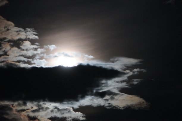 仲夏夜明月近图片下载