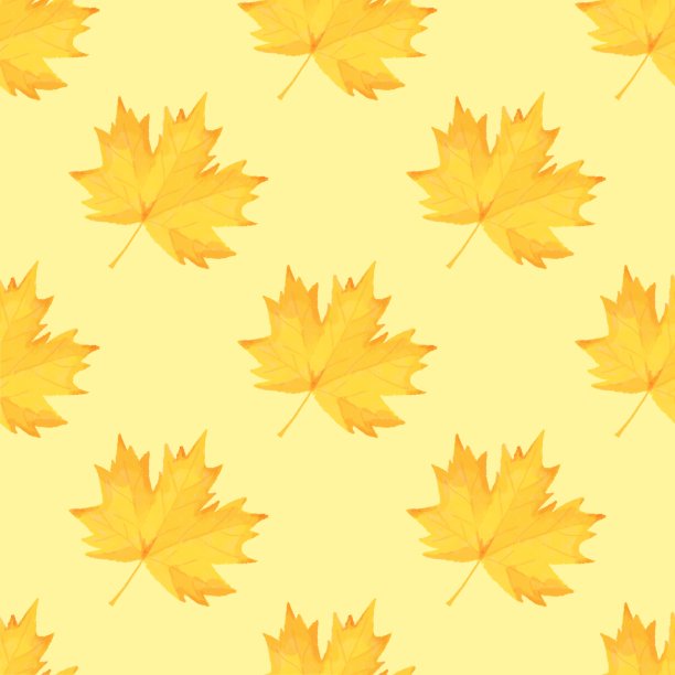 无缝枫叶图案在黄色背景:秋天和加拿大的象征图片下载