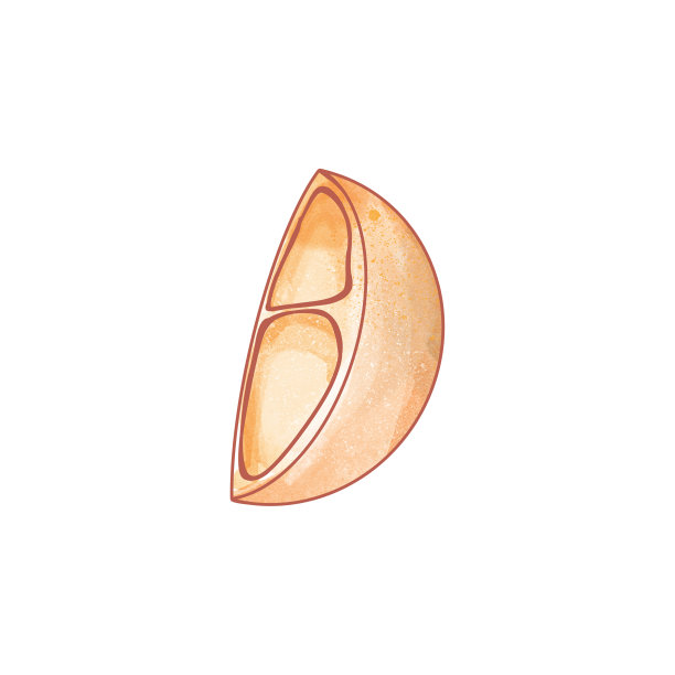 卡哇伊水果柑橘金桔橙。纹理水彩数字艺术。打印纹身，贴纸，明信片，品牌，标志，包装图片下载