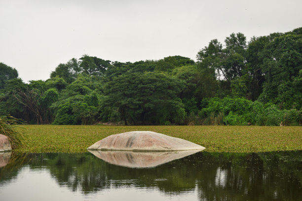 湖泊，绿树和天空在深天然雨林/丛林绿色植物股票照片图片下载