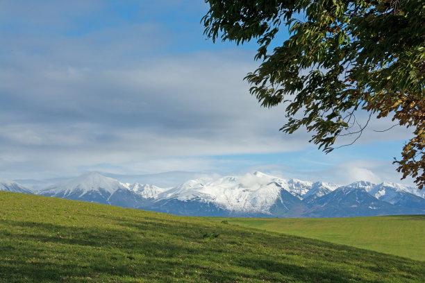 白雪皑皑的群山和翠绿的草地图片下载