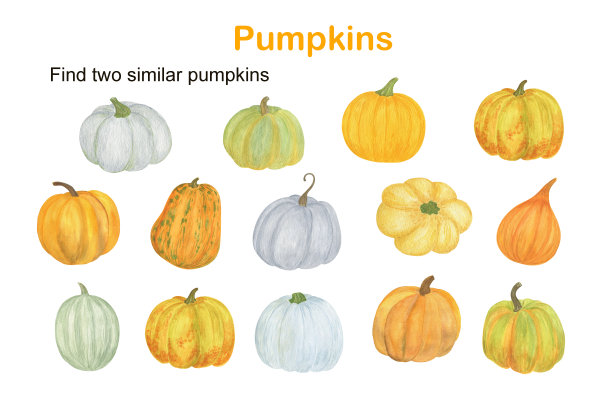 为孩子们找两个类似的南瓜教育活动，秋季益智游戏，简单的水彩画插图工作表图片下载