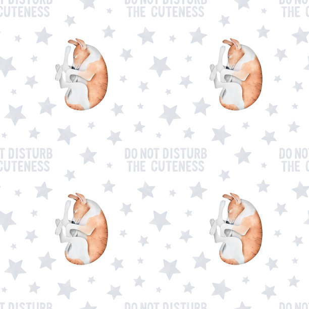 小狗、银星、“请勿打扰可爱”的无缝重复图案。图片下载