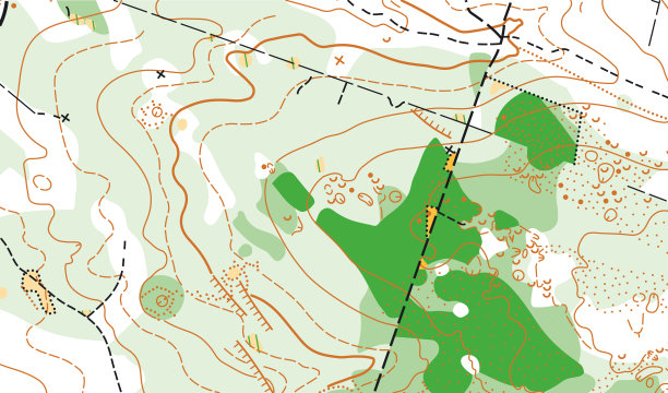 彩色抽象矢量地形图的详细片段图片下载
