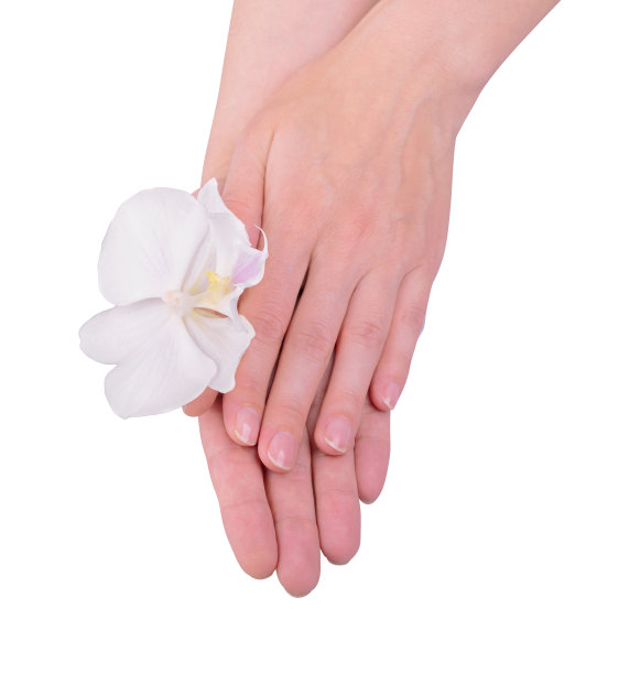 兰花在手，孤立在白色的背景上图片下载