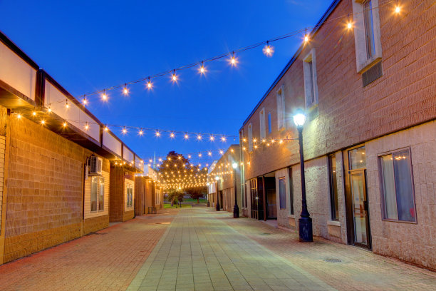 缅因州驯鹿图片下载