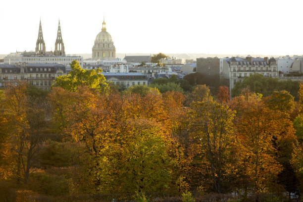 巴黎图勒里的奥顿图片下载