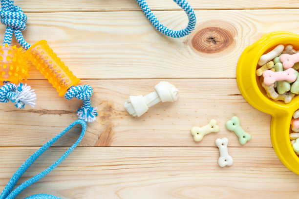 不同颜色的宠物护理配件:戒指，骨头，球，零食，自然木制背景。狗用橡胶和纺织品配件。俯视图，平躺。本空间图片下载