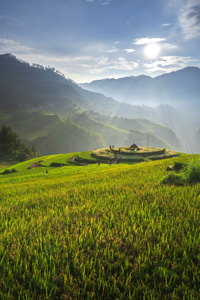 在越南的木仓柴，严白，山丘陵山谷的农村地区的水稻梯田。图片下载