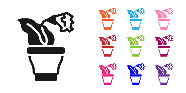 黑色的花在花盆图标孤立在白色图片下载
