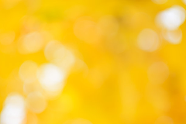 散焦图像的秋天树叶在一个阳光灿烂的日子图片下载