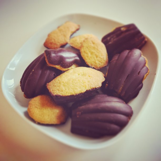 壳牌马德琳图片下载