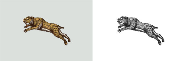 剑齿虎或猫或剑齿虎图片下载