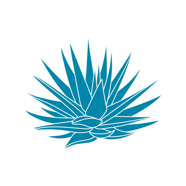 扁平型龙舌兰植物图片下载