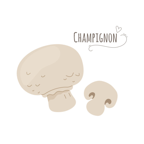 Champignonagaricus蘑菇分离在白色图片下载