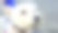 小白狗歪着头。漂亮的白色马尔济斯犬。动物的概念。图片下载