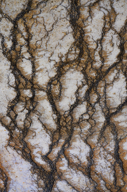 黄石温泉旁的细菌垫子图片下载